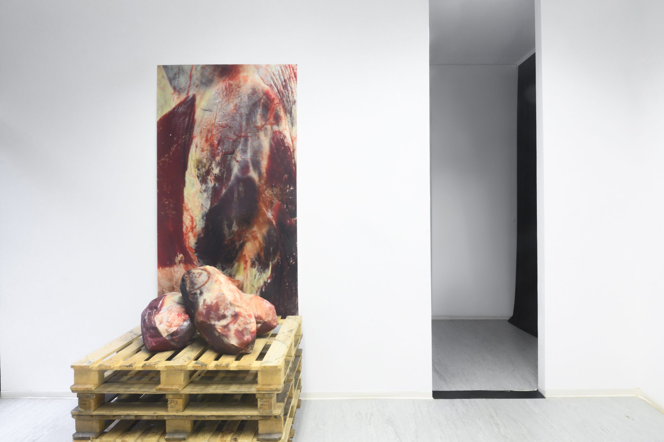 Ema Sirec_MEAT